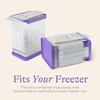 Lansinoh Breastmilk Storage Container with Quick-Freeze Tray, Stores up to