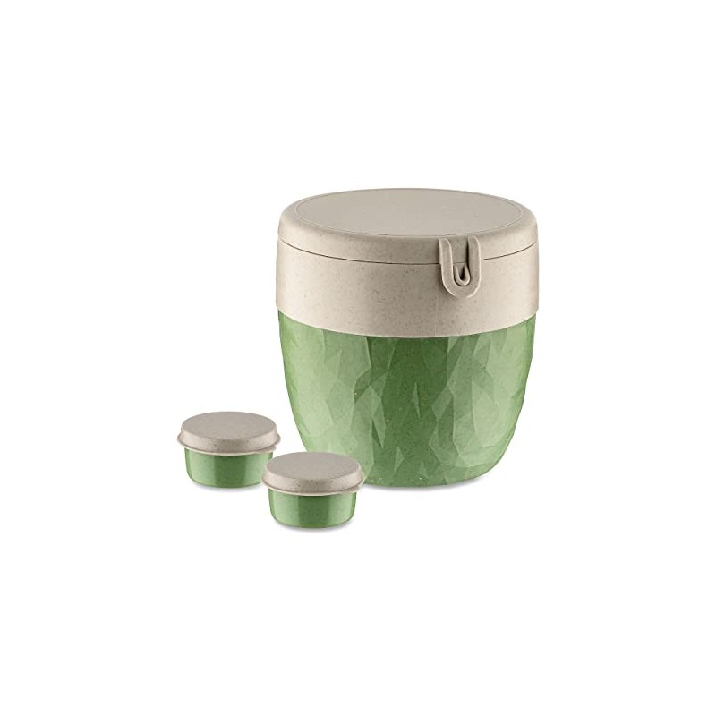 Bentobox L Bento Box Natural Leaf Green