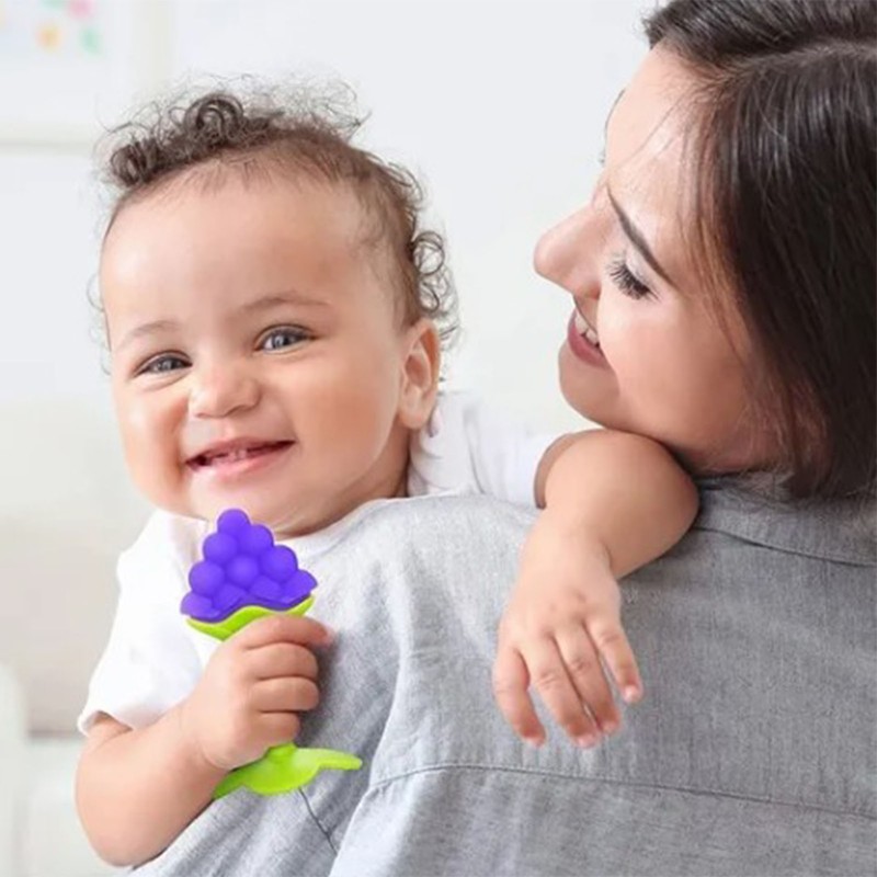 Baby Teething Toys Soothe Gums Silicone Fruit Shape Bright Color