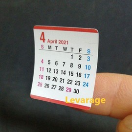 Levarage 2025 Edition Calendar, Peel & Stick Calendar Sticker, Repositionable, Sticker Calendar, Mount: Postcard Size, Removable Monthly