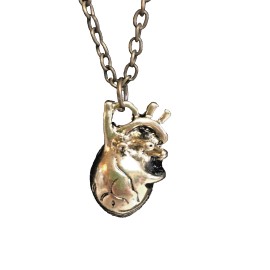 "ANATOMICALLY CORRECT HUMAN  HEART" NECKLACE  20 Inch Holiday Gift Idea NEW