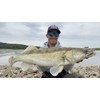 LMAB Bleak Shad 6 cm, 9 cm, 12 cm, 15