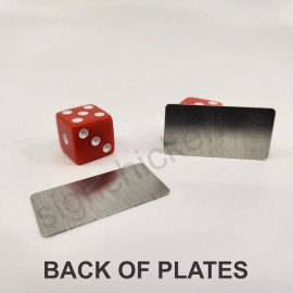 MASSACHUSETTES LICENSE PLATE SET FOR 1/10 SCALE RC CAR *ANY TEXT* radio control