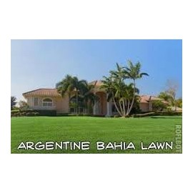 SeedWorld Argentine Bahia Grass Seed - 10 Lbs.