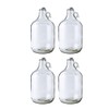 Fastrack 4-Pack 1 Gallon Glass Jug Set (128 oz) w/