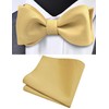 GUSLESON Mens Gold Self Tied Bow Tie Satin Silk Light