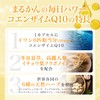 銀座まるかん コエンザイムQ10 ハイスピード 毎日パワー 35粒入り 入浴料付き 賞味期限シール