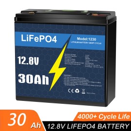 Litime 12V 30Ah LiFePO4 Lithium Battery 30A BMS Deep Cycles for Solar RV Scooter Marine