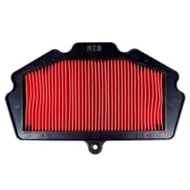 NTB (NTB) KA-1011 Air Filter for Kawasaki Ninja250/Z250 (EX250P)/Ninja400/Z400 (EX400G)