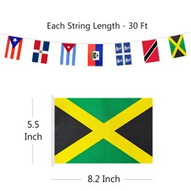 Caribbean 20 Countries Banner Flag String, 20 International Country Mini Flag Small Banner for Classroom, Party, Shops and Bars Decorations, Outdoor Decorations, Indoor Decorations (1 Pack)