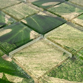 TSLG-02 2x2 Green Glass Mosaic Tile backsplash for Kitchen and Bath (1 Sheet)