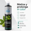Shampoo De Órgano Y Nogal Cabello Teñido Matiza Oscuro 530