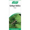 A.Vogel Ginkgo Biloba Drops | Food Supplement | Extract from