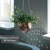 SCANDINORDICA SCANDINORDICA Disco Ball Planter C Value Package: Mirror Disco