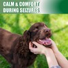 Seizure Support Liquid for Dogs & Cats 100 mL |