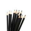 MAIHUO 12 Pcs Graphite Pencils Set,Drawing Sketch Pencil Set,Art Set
