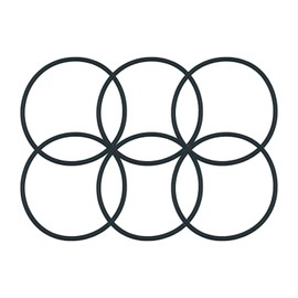 ppf310kit Replacement Miller Little Giant O-ring for Poultry Fountain PPF3 PPF5 PPF7 (6 Pack)