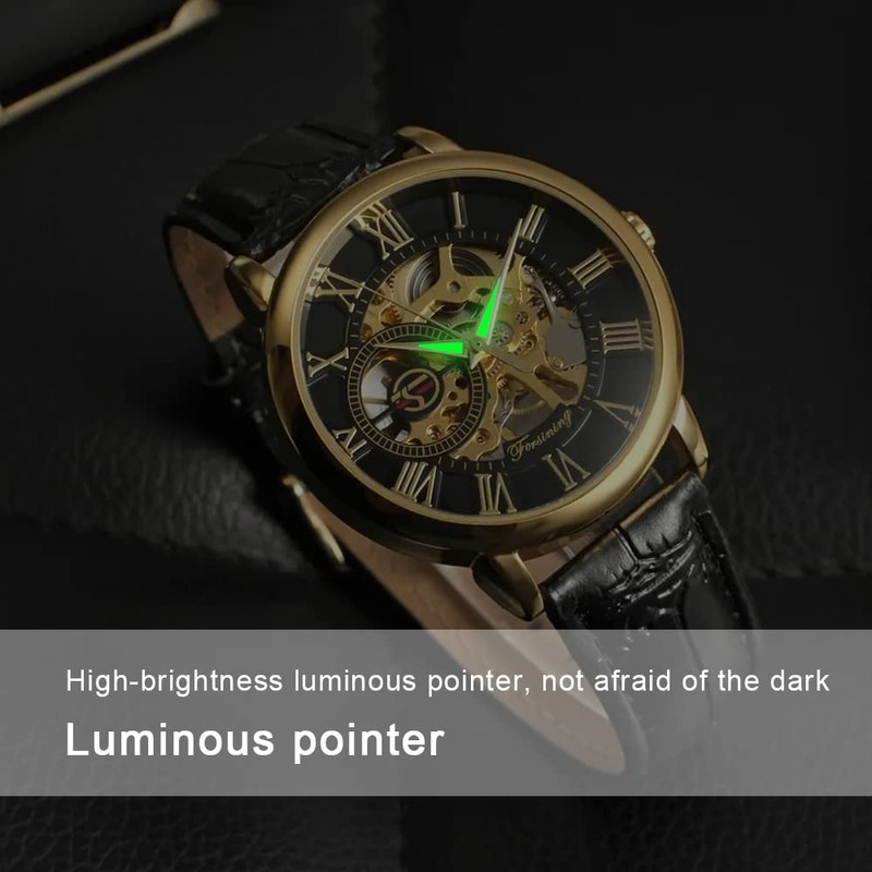 Dentily Classic Mechanical Hand-Wind Watch Men's Skeleton Watch Leather Strap