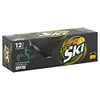 DIET Ski Lemon Orange Citrus Soda, 12 Ounce (12 Cans)