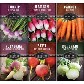 Survival Garden Seeds Root Vegetable Seed Collection - 6 Packs: Danvers Carrot, Purple Top Turnip, French Breakfast Radish, Kohlrabi, Rutabaga, Golden Beet - Non-GMO Heirloom Open-Pollinated Seeds