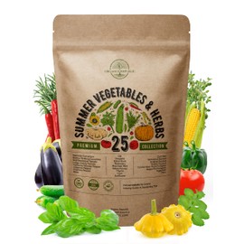 25 Summer Vegetable & Herb Garden Seeds Variety Pack for Planting Outdoors and Indoor Home Gardening 3500+ Non-GMO Heirloom Veggie & Herb Seeds: Tomato Pepper Okra Bean Cucumber Basil Rosemary & More