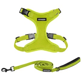 Best Pet Supplies Voyager Step-in Lock Dog Harness and Reflective Dog Leash Combo Set with Neoprene Handle 5ft Long - Supports Small, Medium and Large Breed Puppies/Cats - Lime Green (w Leash), XS