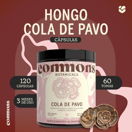 Commons Hongos Adaptógenos - Suplemento de Hongo Cola de Pavo 120 Cápsulas s - Extracto 100% Natural