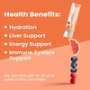Venture Pal Liver Support Electrolyte Powder, Milk Thistle + Ginger