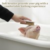 2 PCS Pig Toy, Pig Self-Grooming Scratch Brush with Hanging