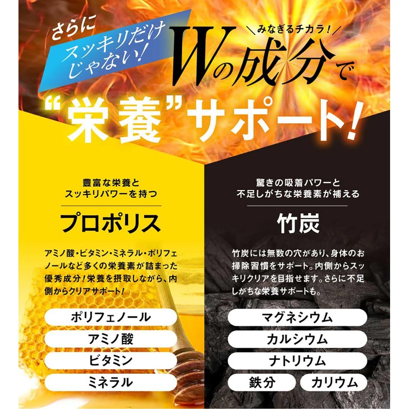 エチケット サプリ NOI GURD（ノイガード）31粒/1か月分 シャンピニオン ロイテリ菌 乳酸菌 デオアタック 茶カテキン 竹炭