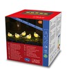 Konstsmide LED Acrylic Birds, Set of 5, Clear, 24 V,
