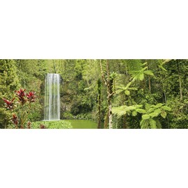 Carolina Custom Cages Reptile Habitat Background; Rain Forest, Waterfall, Red Leaves, for 24Lx18Wx24H Terrarium, 3-Sided Wraparound