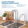 APEC Water Systems Faucet-CD-CP