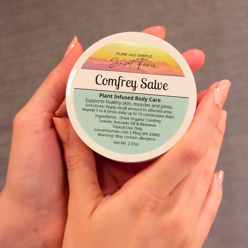 Comfrey Salve | Organic, Non-GMO, Small-Batch Herbal Balm | Family