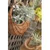 POSH LIVING Basket Wicker Basket A 11545