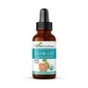 Guava Leaf Extract - Organic Guava Leaves - Hojas de