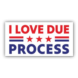 Magnet Sticker I Love Due Process Magnetic Classic Subtle Leftist Social Justice Human Rights Democrat White Magnet for Bumper, Refrigerator, Cruise Door, Car, Truck 7.5x3.75in