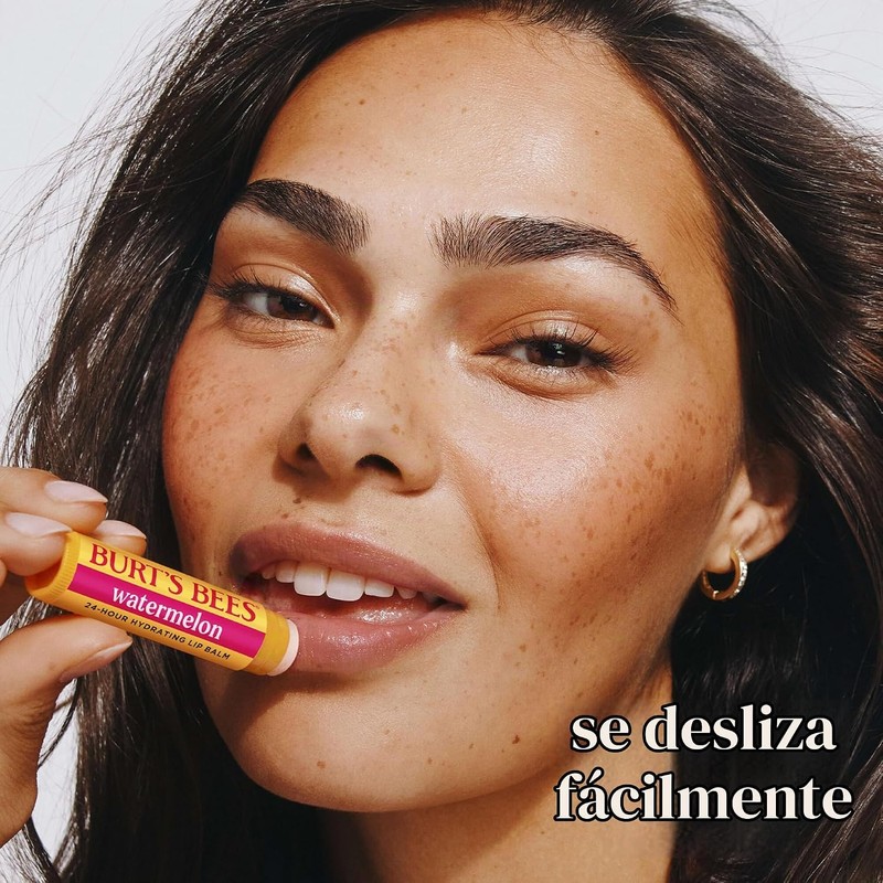 Burt's Bees Kit Freshly Picked Lip Balm 4 unidades