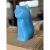 Hidden Skeleton Cat Candle (Blue)
