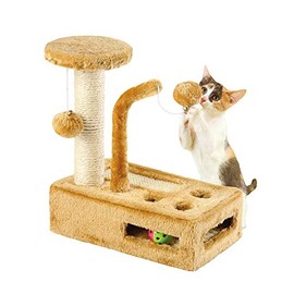 Cat Play Gym