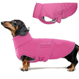 BRKURLEG Dog Winter Jacket, Warm Dog Winter Coats for Small and Medium Large Dogs, Reflective Adjustable Pet Cold Weather Coats, Waterproof Dogs Snow Jacket Clothes Fleece Vest (XS, Rose Red)