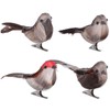 4Pcs Artificial Birds Vivid Looking Real Bird Photo Props with