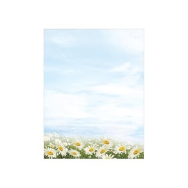Great Papers! Daisy Day - Papel de papel con membrete, 8.5 x 11 pulgadas, 80 unidades, compatible con impresoras de inyección de tinta y láser (202014