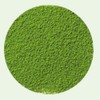 티젠 말차라떼 분말스틱 Teezen Matcha Latte Powder Stick