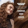 Yves Rocher-Aceite Botánico Capilar con Jojoba Bio Cabello Seco y