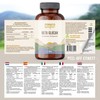 Beta Glucan Powder from 40:1 Oat Extract - 100 g