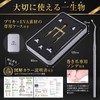【Foot Comfort Workshop Director Supervision】Ingrown Nail Clip/Ingrown Nail Quit Ingrown