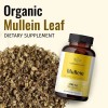 HERBAMAMA Mullein Leaf Capsules Respiratory Health - Organic Mullein Leaf