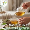 Xenivalle Cedrón Deshidratado 500 g Hierba Natural para Infusiones, Tés,