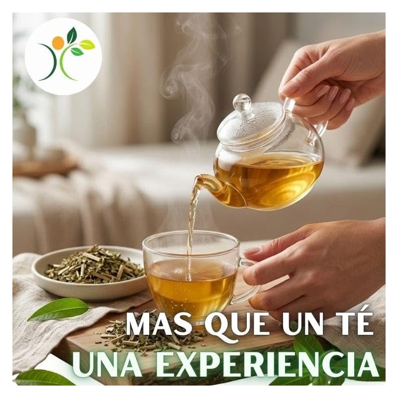 Xenivalle Cedrón Deshidratado 500 g Hierba Natural para Infusiones, Tés,